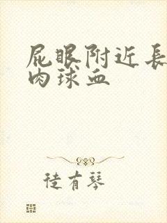 屁眼附近长了个肉球血