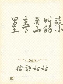 男主角叫苏文阎王下山的小说封面