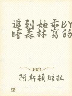 追到她乖BY黑暗森林写的小说