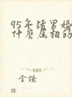 95年猪男婚配什么属相的好