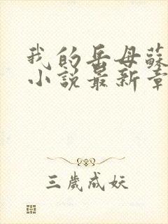 我的岳母苏沛真小说最新章节