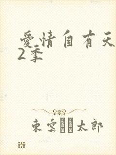 爱情自有天意第2季