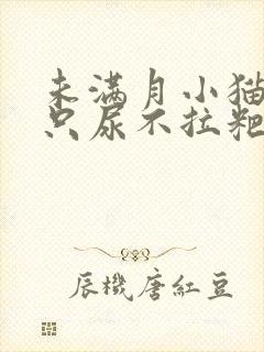 未满月小猫怎么只尿不拉粑粑