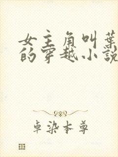 女主角叫叶青璃的穿越小说