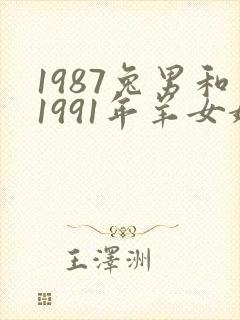 1987兔男和1991年羊女婚配封面