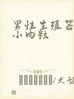 男性生殖器白色小肉粒