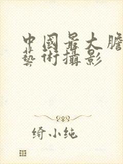 中国最大胆人体艺术摄影