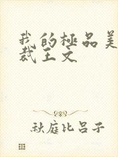 我的极品美女总裁王文