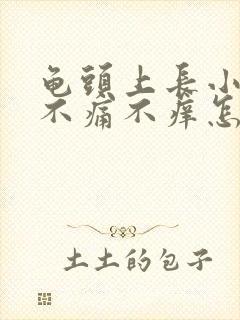 龟头上长小肉粒不痛不痒怎么办