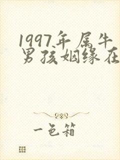 1997年属牛男孩姻缘在哪一年