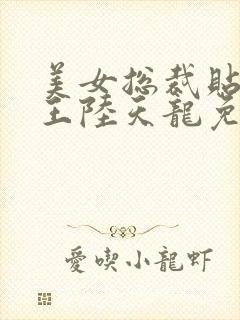 美女总裁贴身兵王陆天龙免费阅读