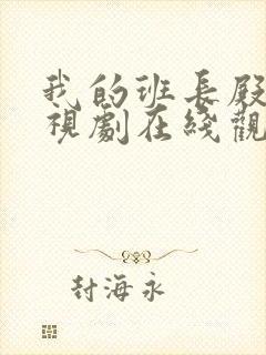 我的班长殿下电视剧在线观看免费