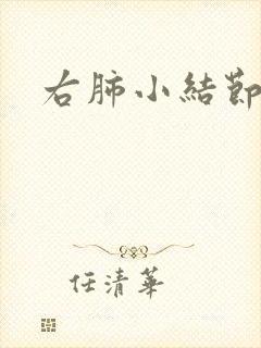 右肺小结节钙化