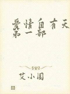 爱情自有天意 第一部