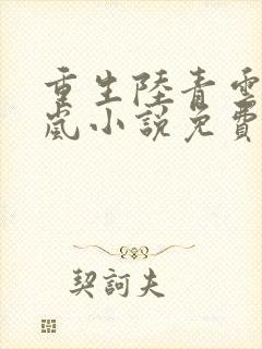 重生陆青云林若岚小说免费阅读