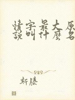 情字最大原著小说叫什么名字啊封面