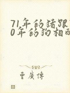 71年的猪跟70年的狗相配吗