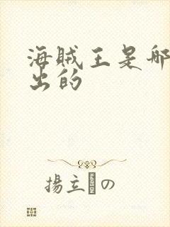 海贼王是哪一年出的