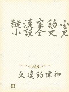 糙汉家的小娇夫小说全文免费阅读封面