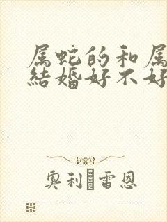 属蛇的和属牛的结婚好不好封面