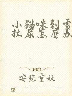 小猫咪到处拉屎拉尿怎么办