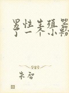 男性生殖器上长了一个小粉刺