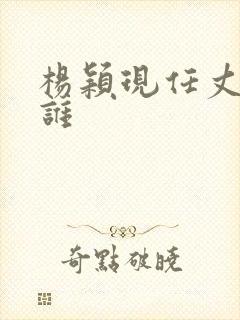 杨颖现任丈夫是谁