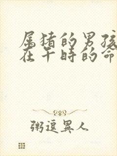 属猪的男孩出生在午时的命运