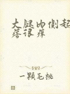 大腿内侧起了疙瘩很痒