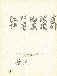 肛门肉球瘙痒是什么原因引起的,怎么治疗