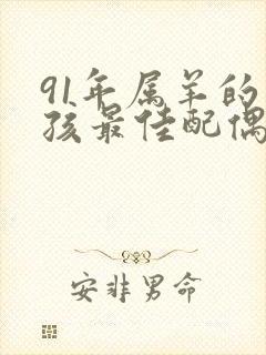 91年属羊的男孩最佳配偶封面