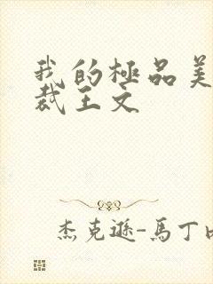 我的极品美女总裁王文封面