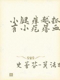 小腿痒越抓越痒有小疙瘩血点