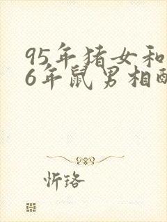 95年猪女和96年鼠男相配婚姻如何