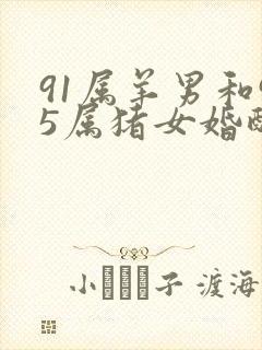 91属羊男和95属猪女婚配指数