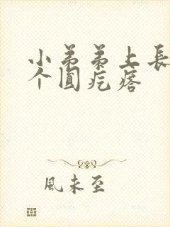 小弟弟上长了一个圆疙瘩