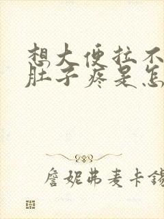 想大便拉不出来肚子疼是怎么回事