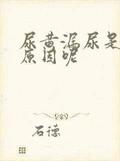 尿黄漏尿是什么原因呢