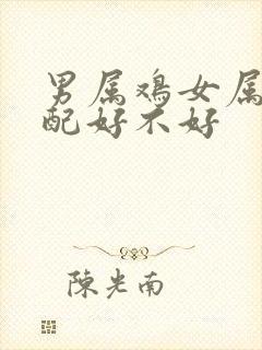 男属鸡女属狗婚配好不好