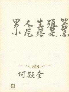 男人生殖器里有小疙瘩是怎么了