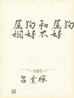 属狗和属狗的婚姻好不好封面