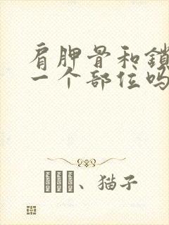 肩胛骨和锁骨是一个部位吗