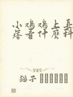 小鸡鸡上长小疙瘩看什么科