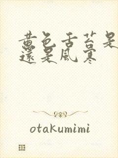 黄色舌苔是风热还是风寒封面