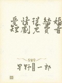 爱情从结婚开始短剧免费看