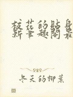 校花的贴身高手新笔趣阁最新章节封面