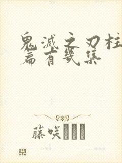 鬼灭之刃柱训练篇有几集封面