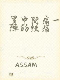 胃中间痛一阵一阵的绞痛封面