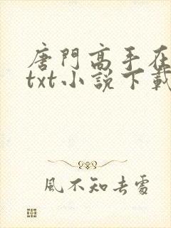 唐门高手在异世txt小说下载