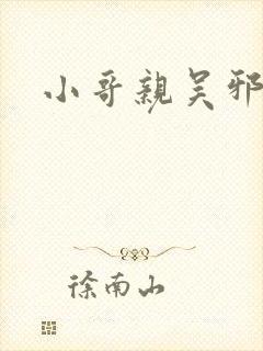 小哥亲吴邪原著